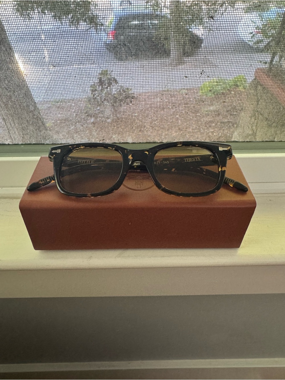 Tejesta Tuttle Chelonian Wayfarer Sunglasses - Dark Brown Lenses